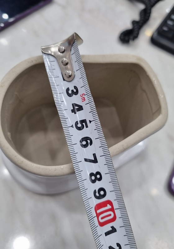 ron-tieu-nam-caesar-3