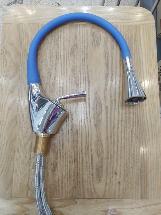 royal20rksp20-b