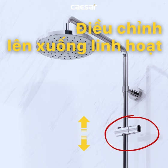 sen-cay-tam-caesar-s383c-bs122-5