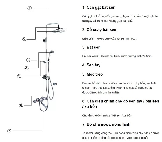 sen-cay-toto-tbw04401j1-3