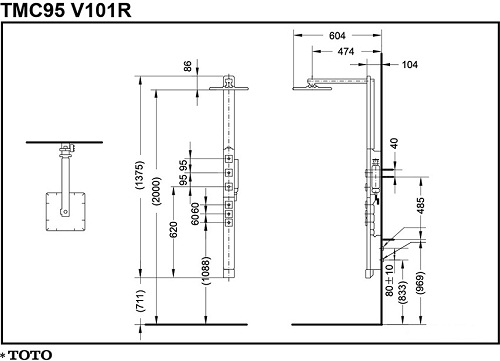 sen-cay-toto-tmc95v101r-ban-ve