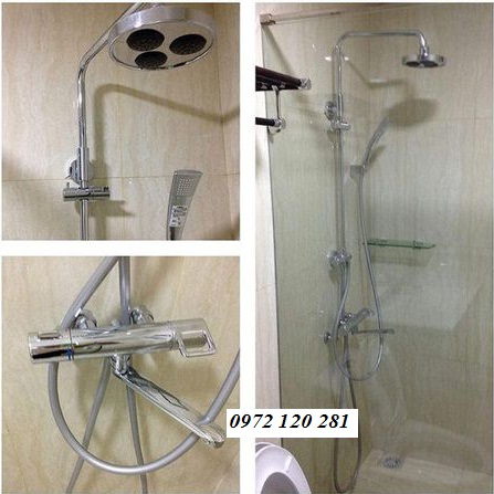 sen-cay-toto-tmgg95ec-1