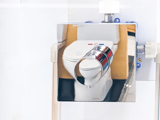 sen20am20tuong20toto-1-4