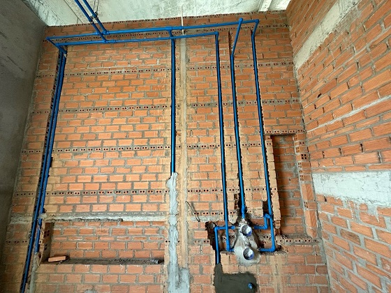 sen20am20tuong20toto-6-5