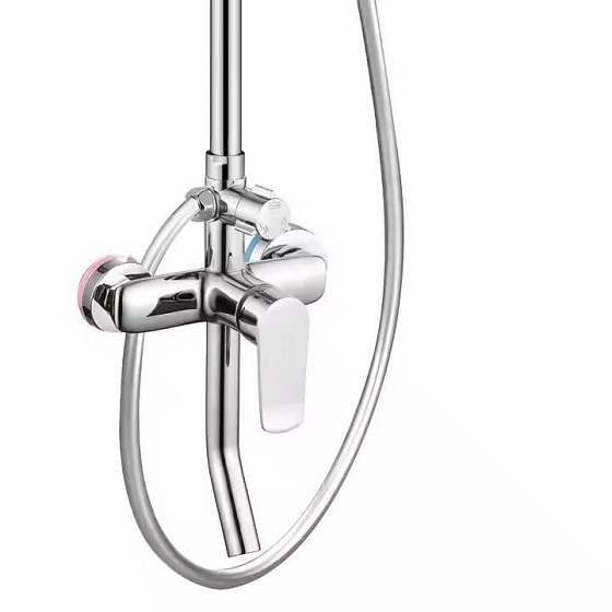 sen20cay20hm-6698-5