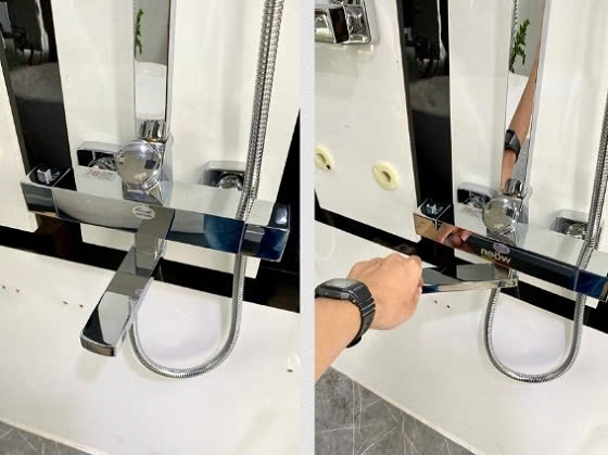 sen20cay20tam20cico20c-685-1