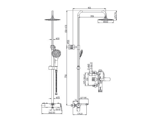 sen20cay20tam20clara20cf-08355