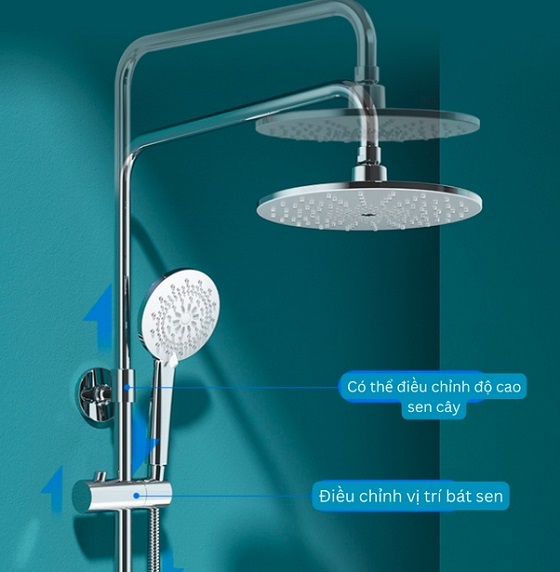 sen20cay20tam20jomoo2036457-592_hbs-1_3