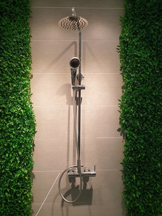 sen20cay20viglacera20vg596-3