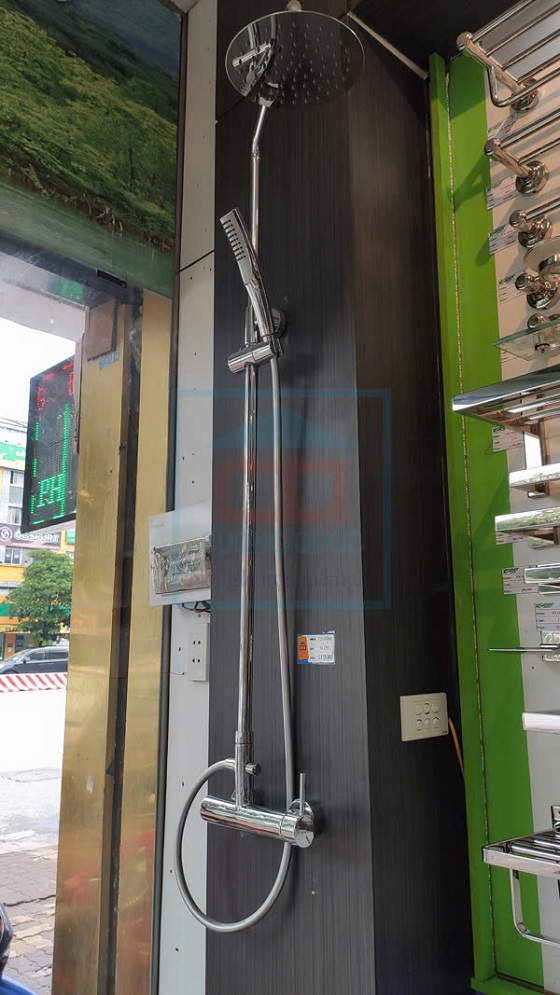 sen20cay20viglacera20vg596-4