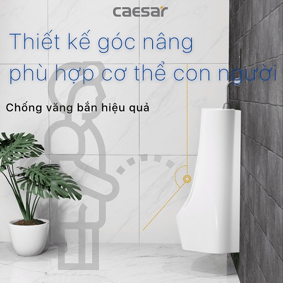 tieu20nam20caesar20u0235-2