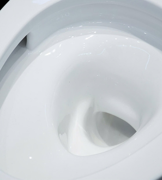 toto-cs326dt10-2
