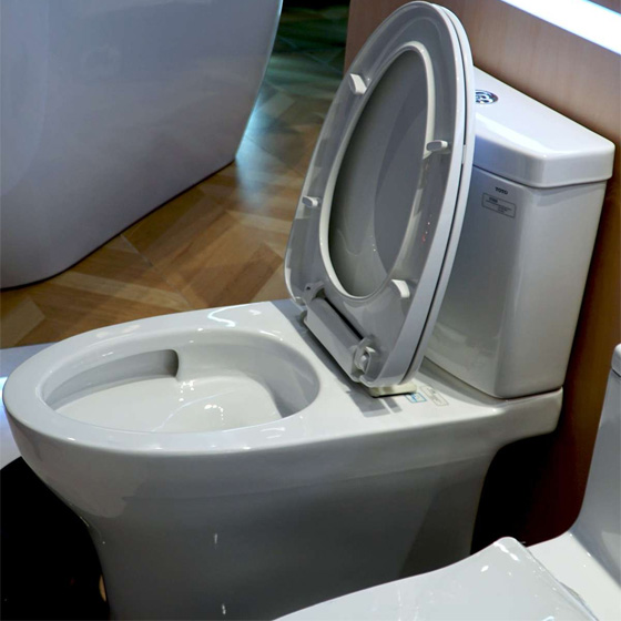 toto-cs769dt8-cs769drt8-5