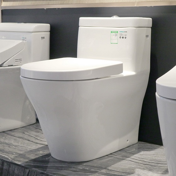 toto-cw166rb-1 TOTO CW166RB-TC384CVK