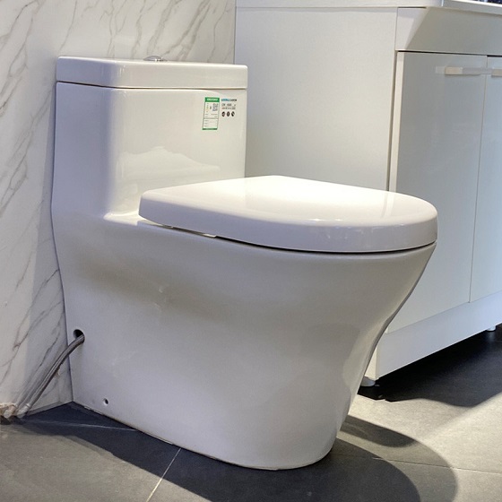 toto-cw166rb-3 TOTO CW166RB-TC384CVK