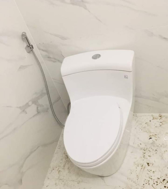 toto-ms625dt2-1