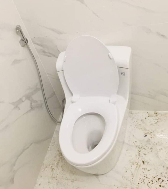 toto-ms625dt2-2
