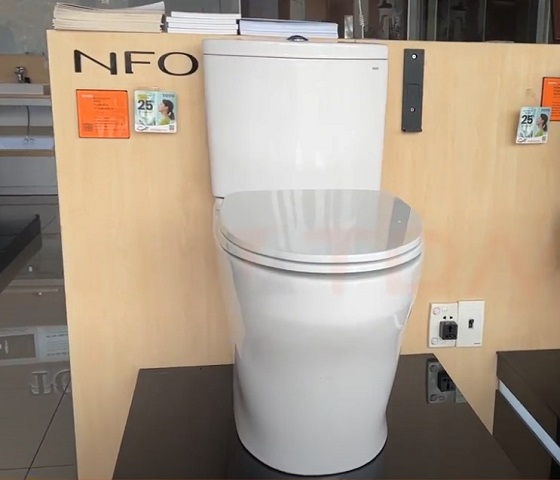 toto20cs838dt10-1