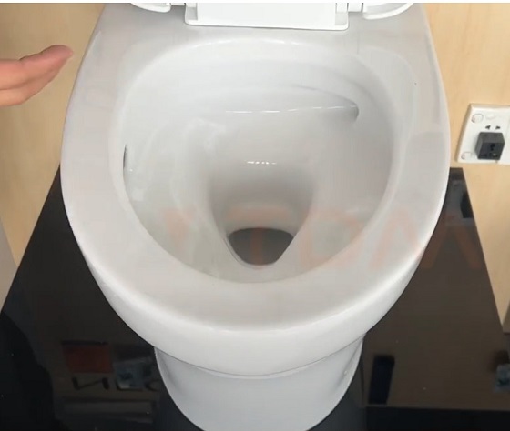 toto20cs838dt10-2