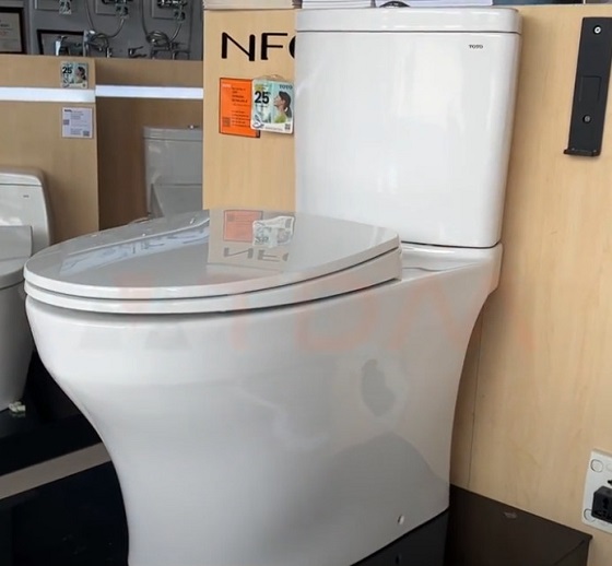 toto20cs838dt10-3