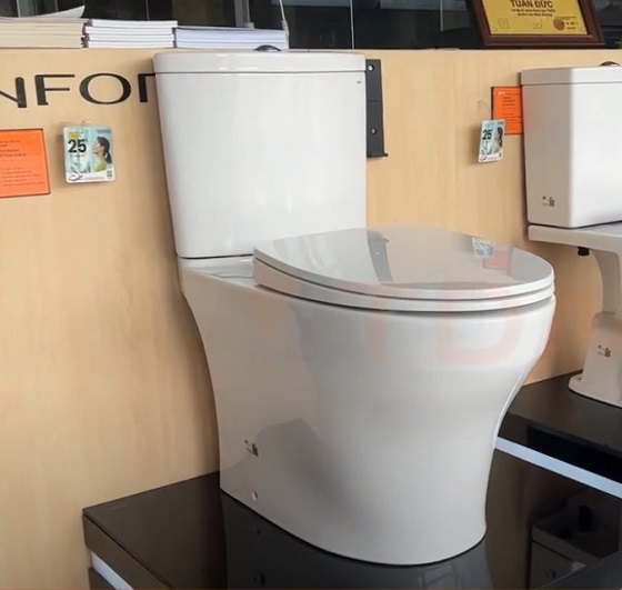 toto20cs838dt10-4