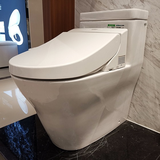 toto20cw166rb-tcf6632a-1