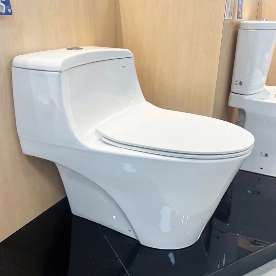 toto20ms823drt8-1