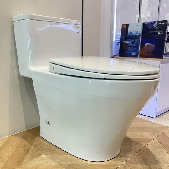 toto20ms857dt10-4