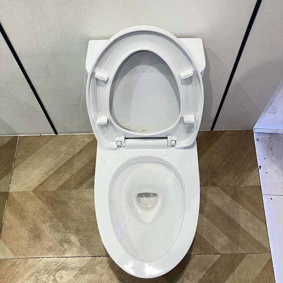 toto20ms857dt10-5