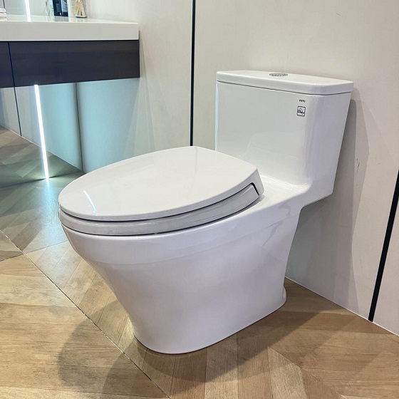 toto20ms857dt2-2