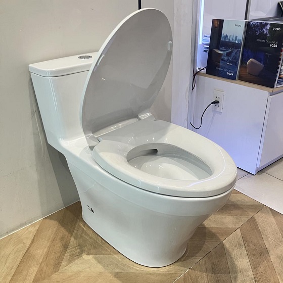 toto20ms857dt2-4