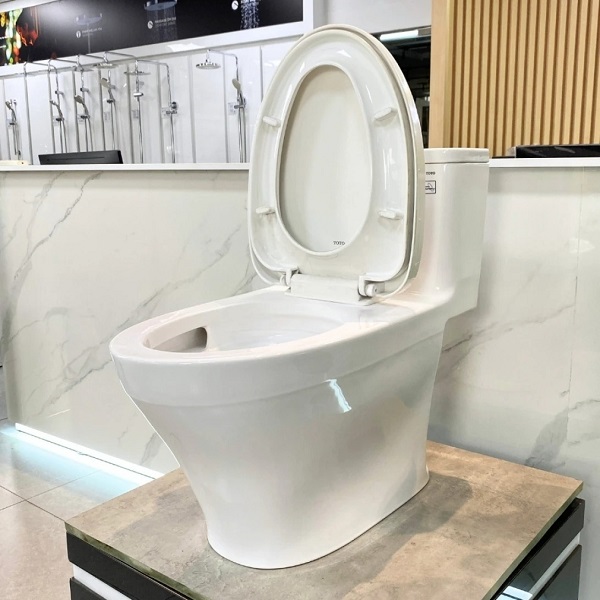 toto20ms857dt8-2-1