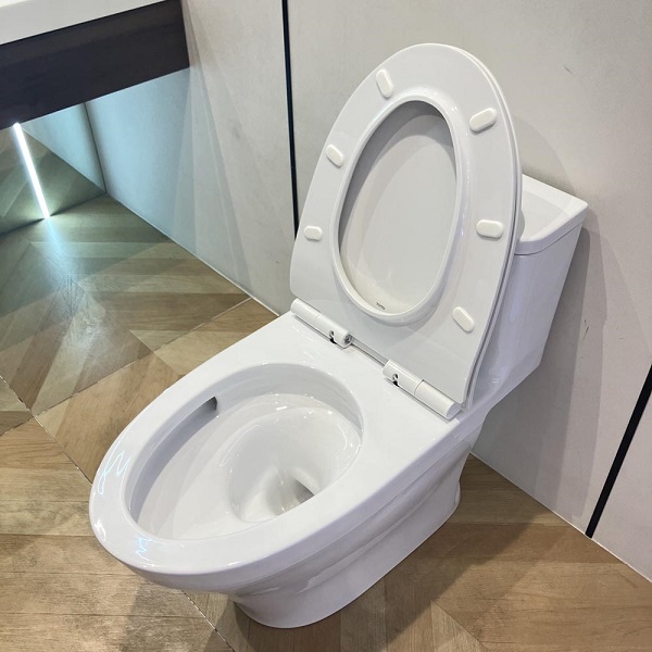 toto20ms857dt8-5