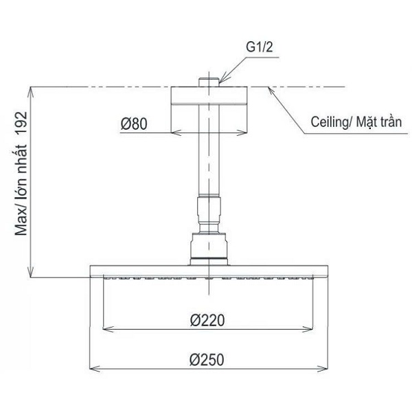 toto20tbg04304bb-7