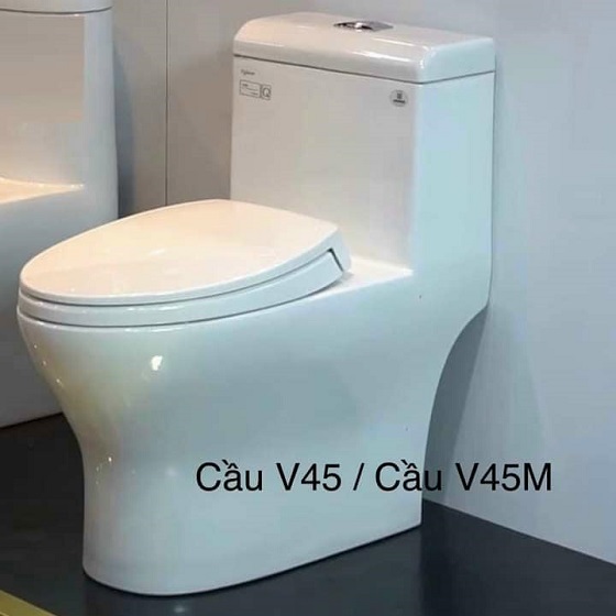 viglacera20v45m-1