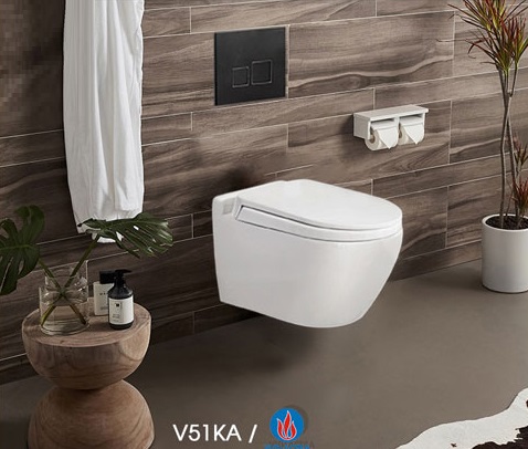 viglacera20v51ka