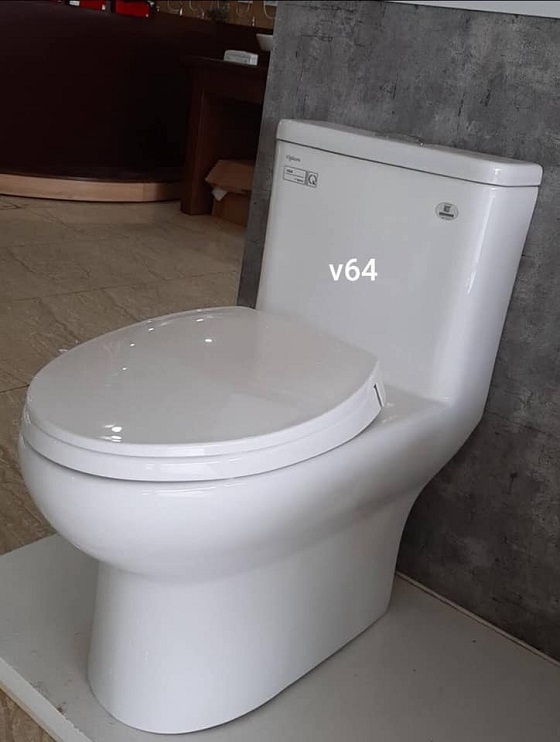 viglacera20v64-2