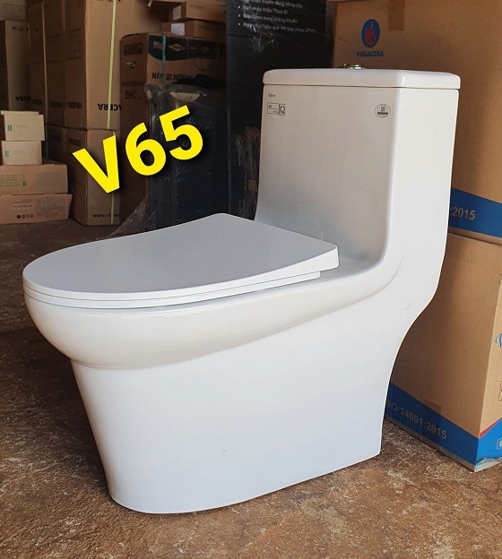 viglacera20v65-3