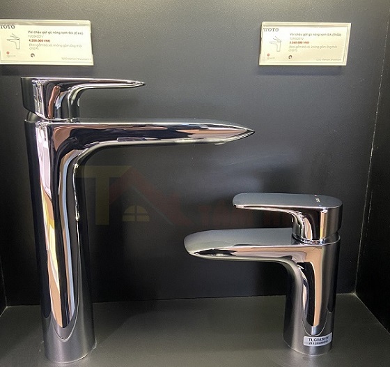 voi-chau-toto-tlg04307v-1