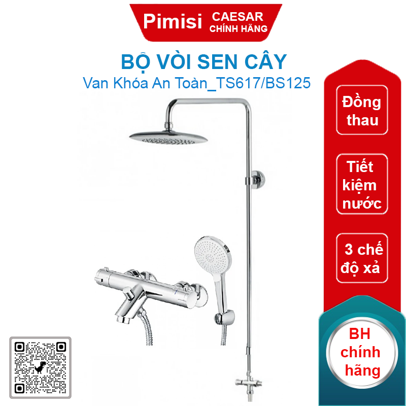 Bộ vòi sen cây CAESAR TS617/BS125 nhiệt độ