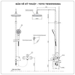 Alternative view of Sen cây TOTO TBS04302V/TBW01010A/TBW01002BA nóng lạnh