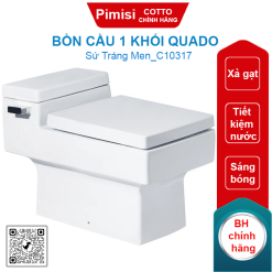 Bồn cầu COTTO C10317 1 khối Quado xả gạt