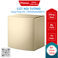 Cút nối tường TOTO TBW08009A#BFG màu vàng Pháp mờ