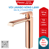 Vòi lavabo COTTO CT2202AY#RG nóng lạnh