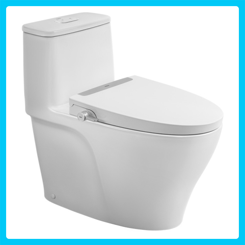 Bồn cầu rửa cơ INAX