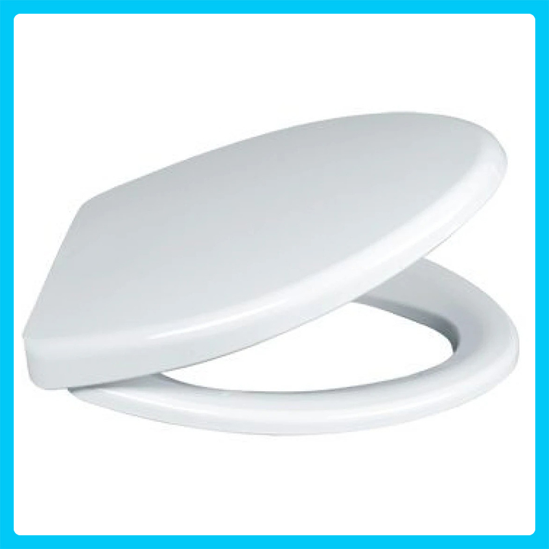 Nắp bồn cầu Caesar