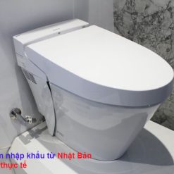 Xí bệt thông minh INAX 618