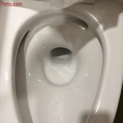 Lòng bàn cầu INAX 1 khối AC 909VRN