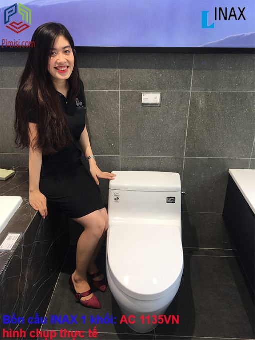 Bồn cầu 1 khối INAX AC 1135VN hình chụp thực tế