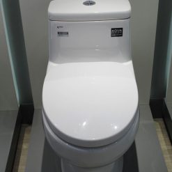 Toilet INAX 939 chụp thực tế